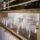 Repisa Cantina Flotante De Pared Porta Vinos Cava Rústico