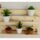 estante de repisa para plantas y suculentas