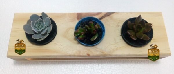 Soporte Para 3  Macetas Suculentas O Cactus