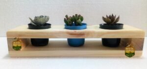 Soporte Para 3  Macetas Suculentas O Cactus