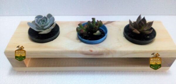 Soporte Para 3  Macetas Suculentas O Cactus