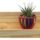 Pack Estante X3  Repisas Flotantes Madera  Repisa Flotante