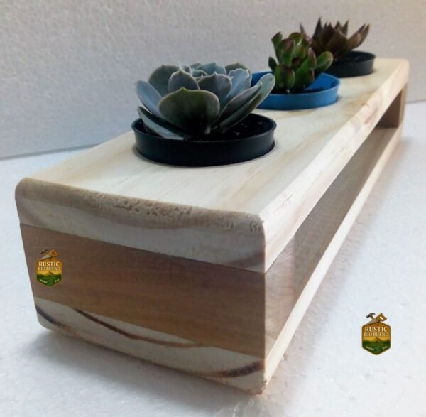 Soporte Para 3  Macetas Suculentas O Cactus