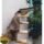 Estante De Pared Para Gatos Montado En Pared Escalera