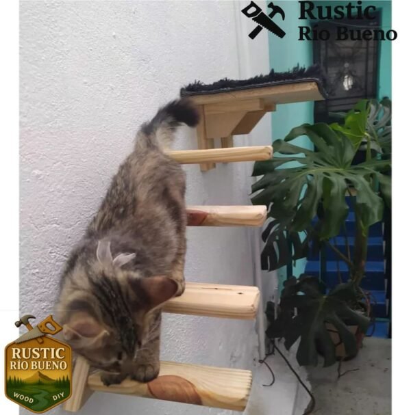 Estante De Pared Para Gatos Montado En Pared Escalera