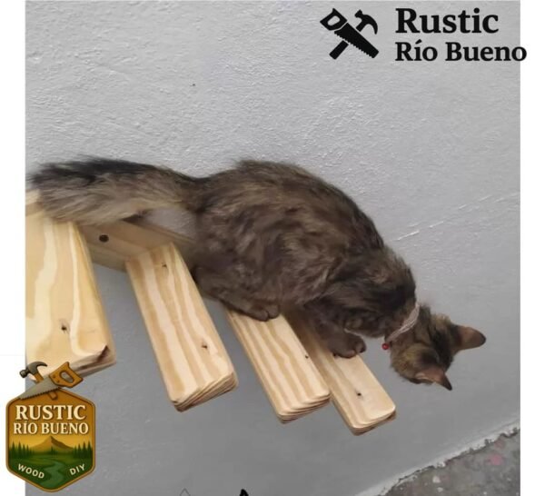 Estante De Pared Para Gatos Montado En Pared Escalera