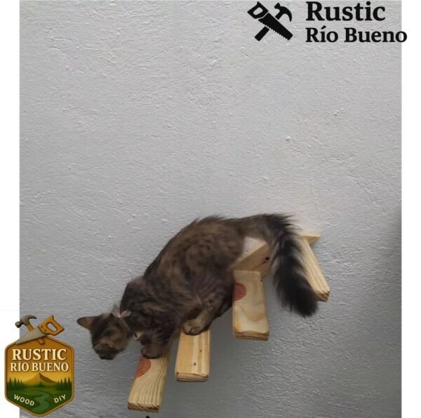 Estante De Pared Para Gatos Montado En Pared Escalera