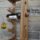 Porta botella para vino rustico de madera