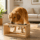 Comedero Elevado Para Perros Y Gatos De Madera Doble Plato